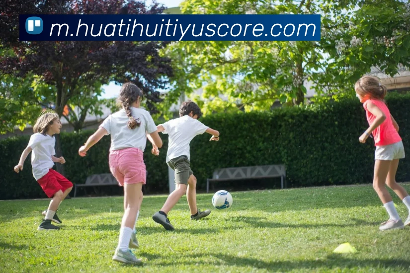 App Interface Preview